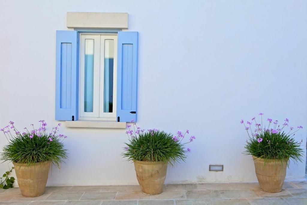 Masseria Montelauro أوترانتو المظهر الخارجي الصورة