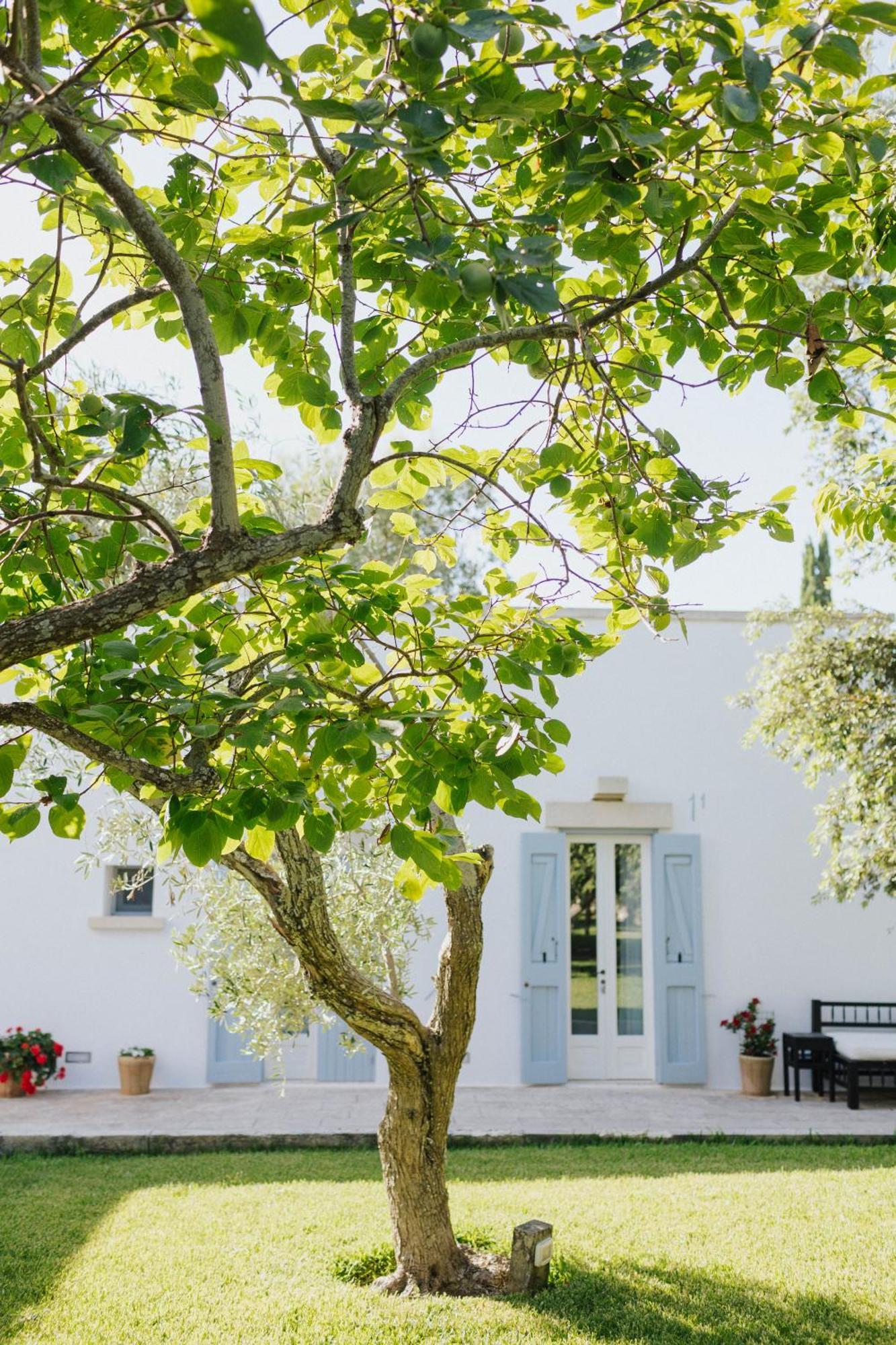Masseria Montelauro أوترانتو المظهر الخارجي الصورة