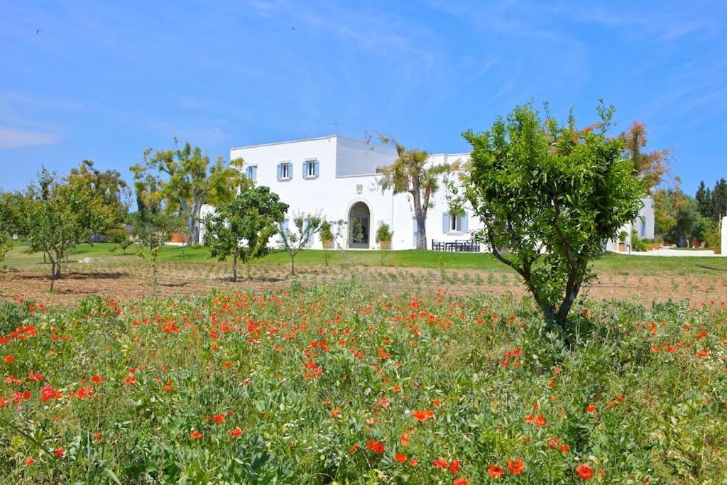 Masseria Montelauro أوترانتو المظهر الخارجي الصورة
