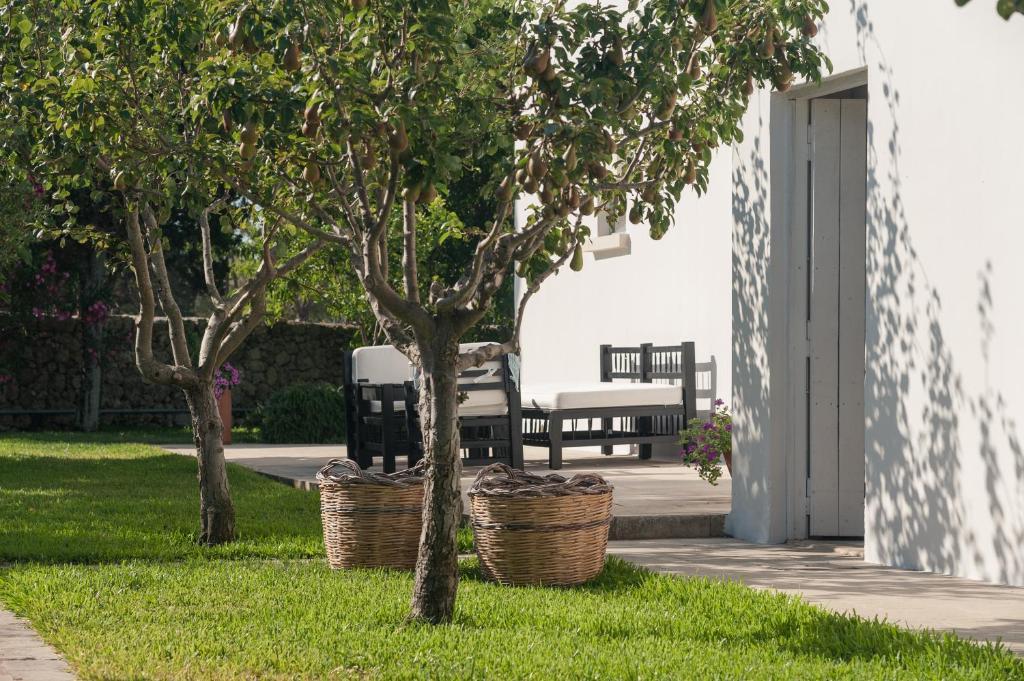 Masseria Montelauro أوترانتو المظهر الخارجي الصورة